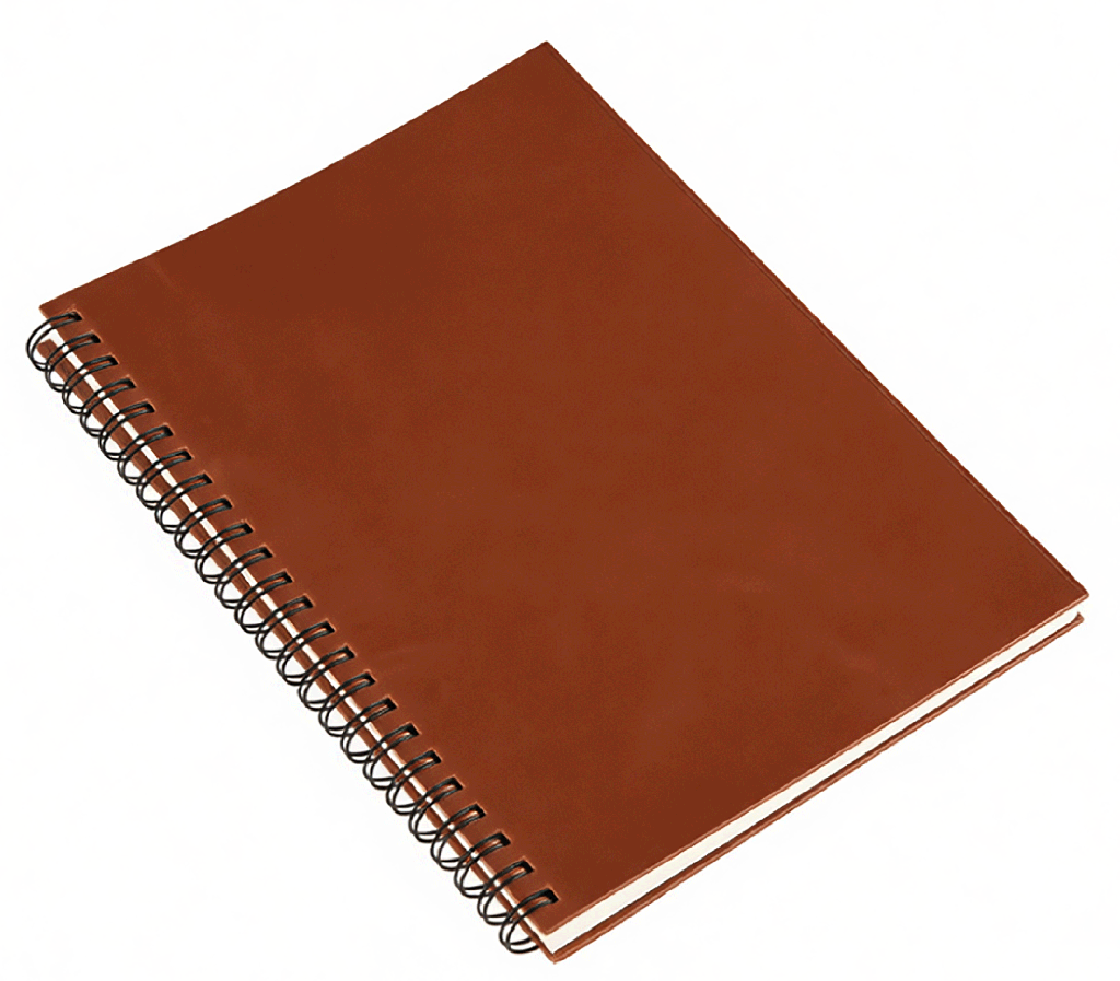 NOTEBOOK EN CUIR SPIRAL 9.5X15 FANTAISIE