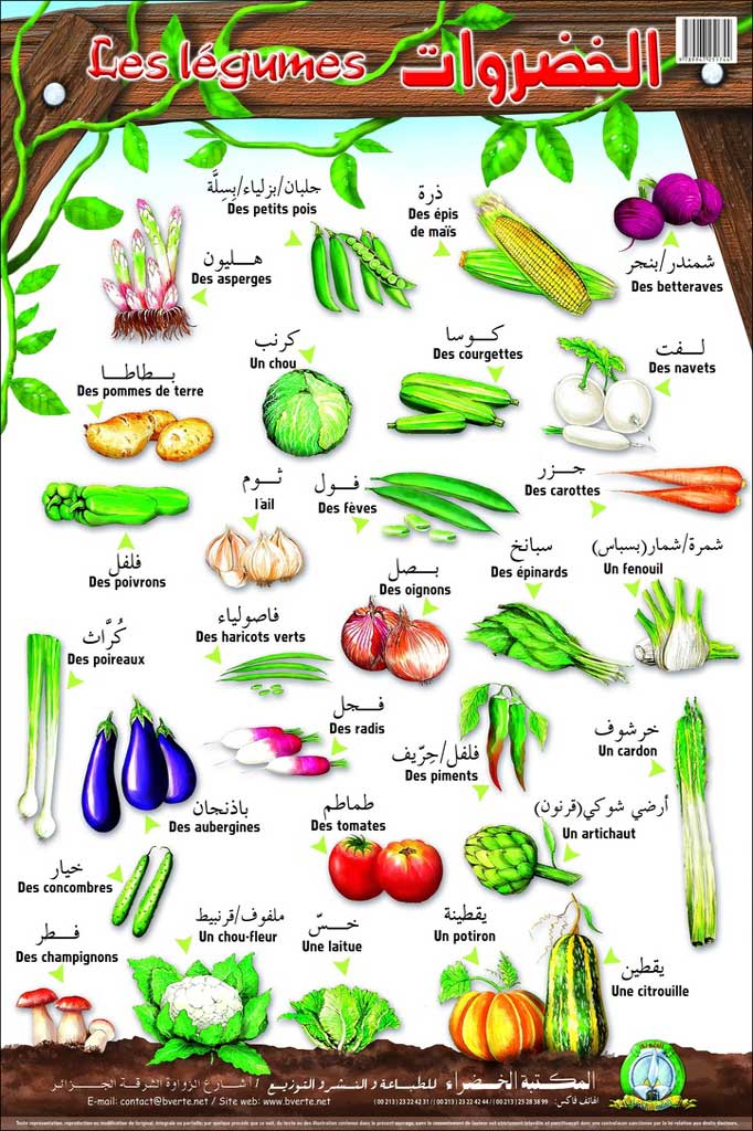 Planche- Les Légumes (Arabe/Français)