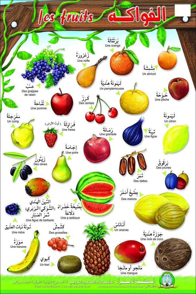 Planche- Les fruits (Arabe/Français)