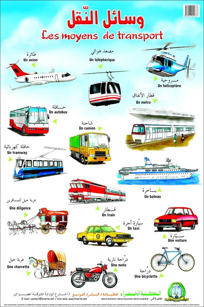 Planche- Les moyens de transport (Arabe/Français)