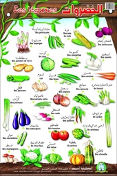 [5174] Planche- Les Légumes (Arabe/Français)